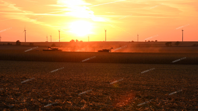 Two Combines Harvesting Corn at Sunset 25785