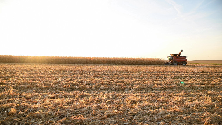 Combine Harvesting Corn at Sunset 25788