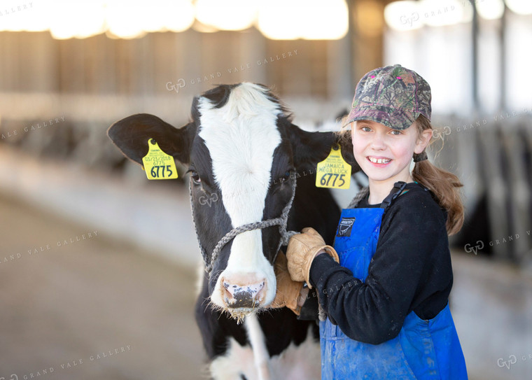 Farm Girl with Dairy Calf Heifer 55063