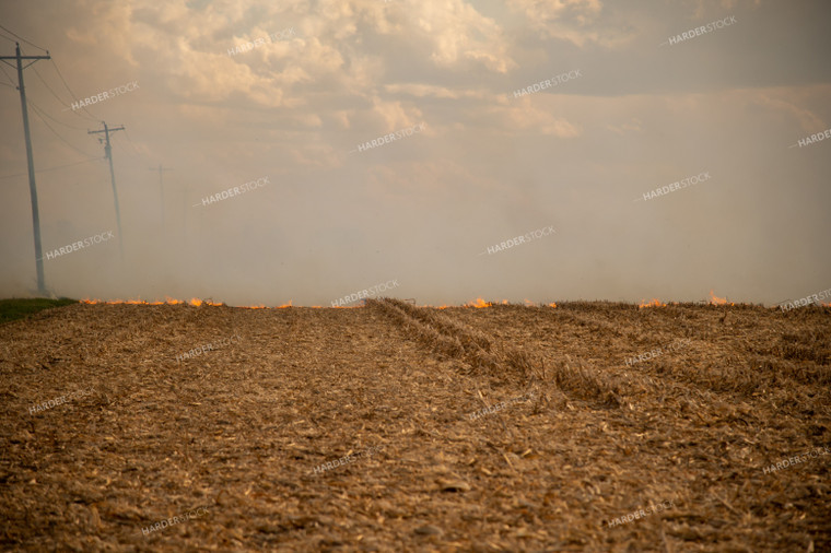 Corn Field on Fire 25841