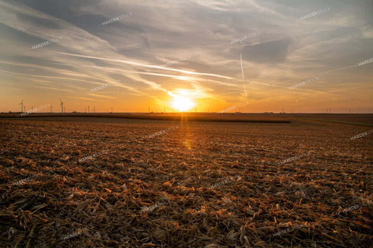 Sunset over Partially Harvested Corn Field 25845