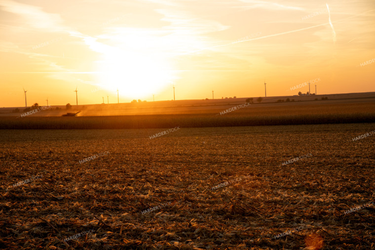 Combine Harvesting Corn at Sunset 25846