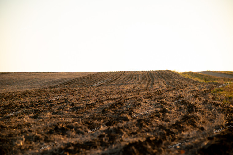 Tilled Ground at Sunrise 25880