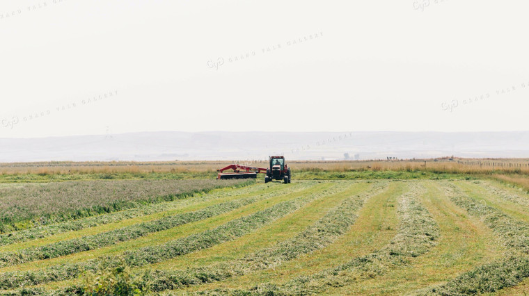 Mower Conditioner in Hay Field 61045