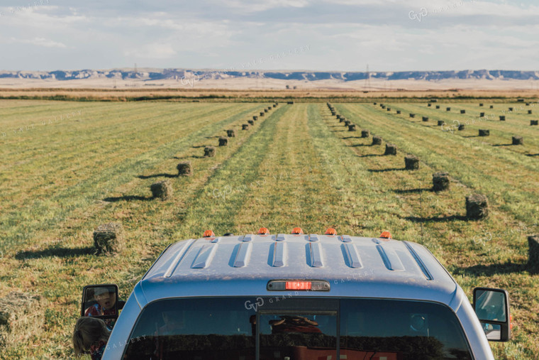 Square Bales in Hay Field 61055