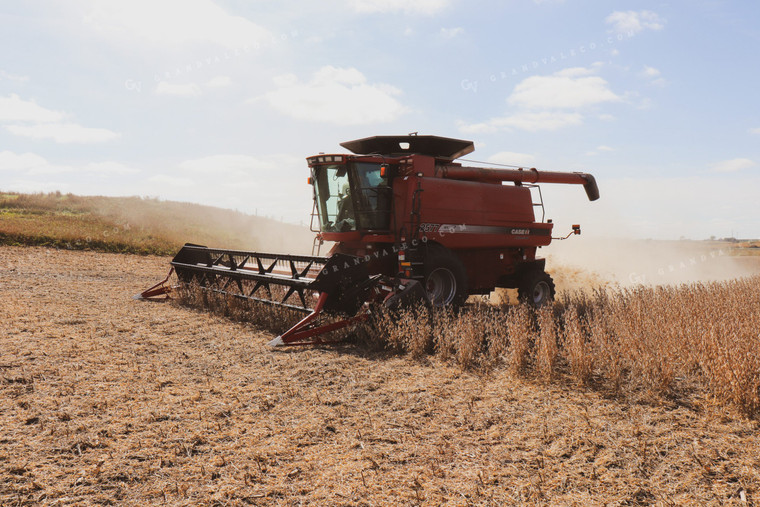 Soybean Harvest 67005