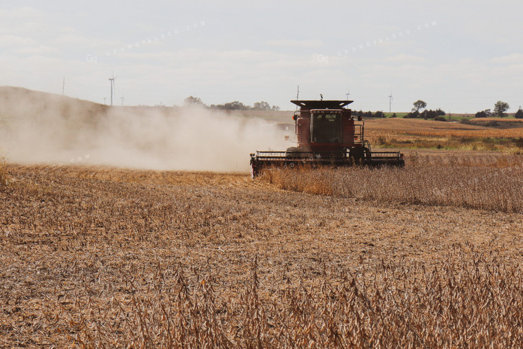 Soybean Harvest 67027