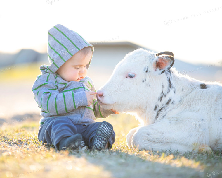 Dairy Calf and Farm Toddler 55090