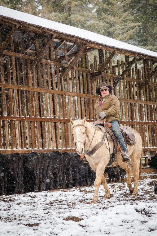 Rancher on Horseback in Snow 66004