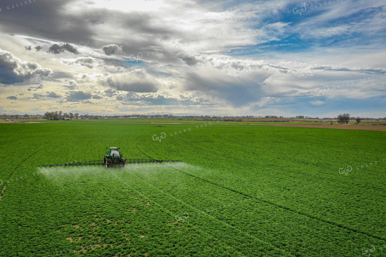 Spraying Alfalfa Hay 56016