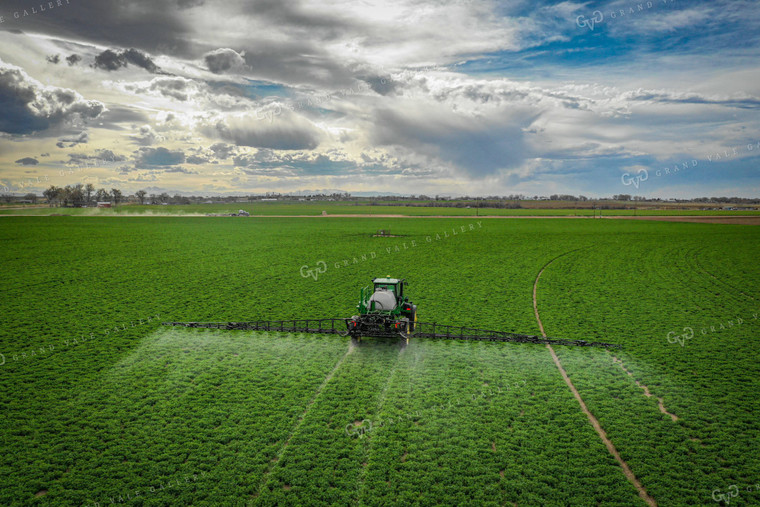 Spraying Alfalfa Hay 56017