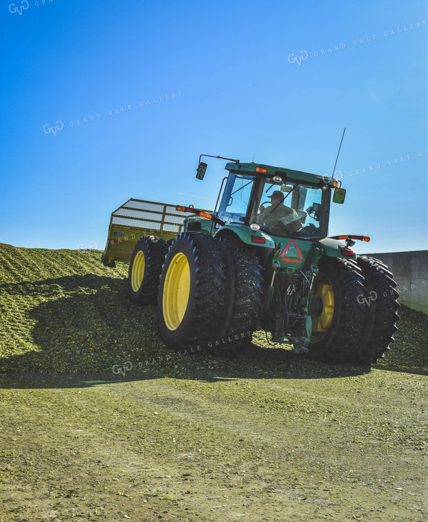 Silage Pile 56059
