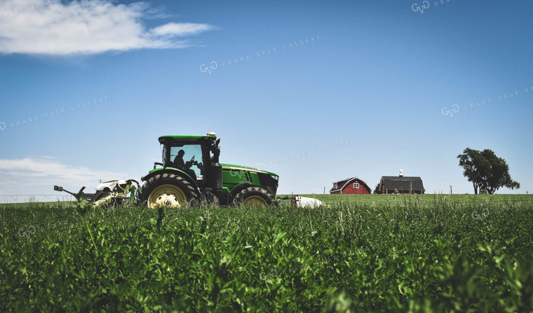 Alfalfa Field 56078