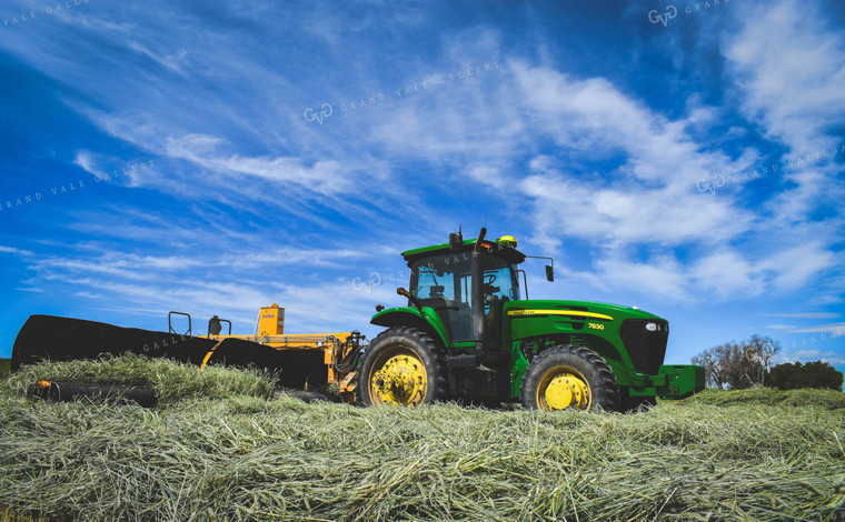 Raking Wheat Hay 56116