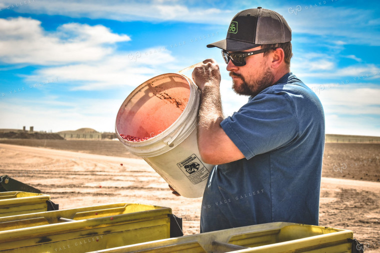 Farmer Loading Planter 56169