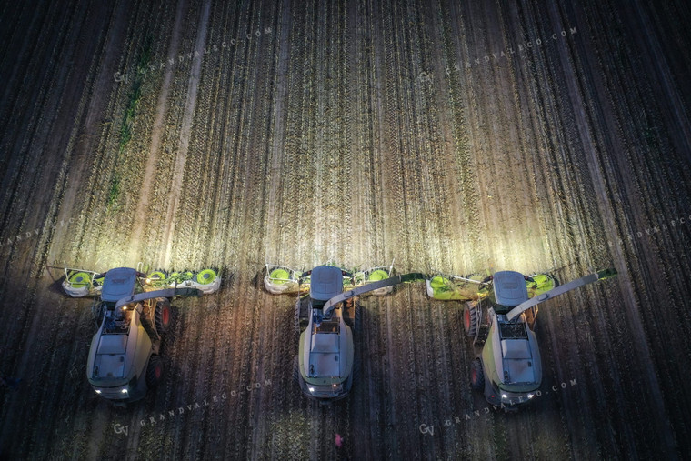 Silage Harvest at Night Drone 56211