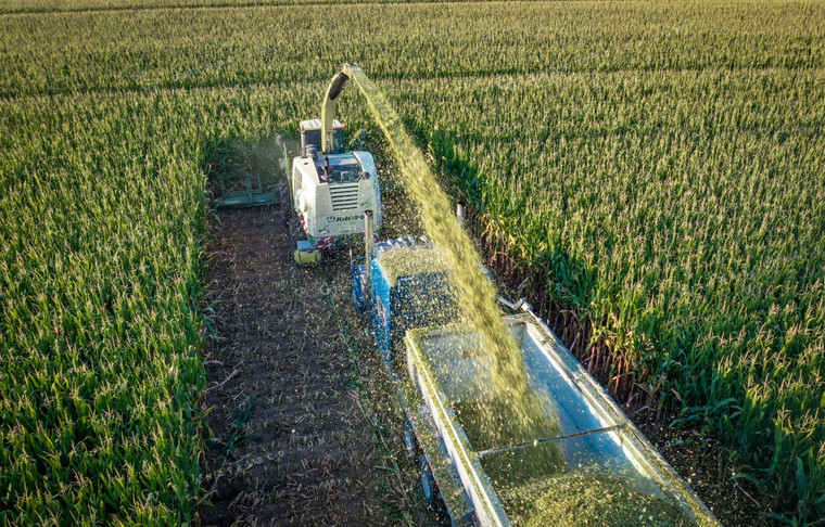 Silage Harvest Drone 56238