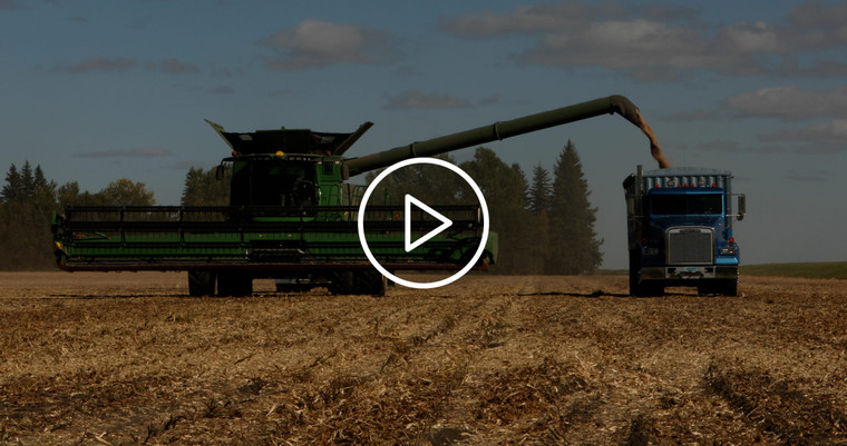 Combine Unloading Beans into Truck 3303