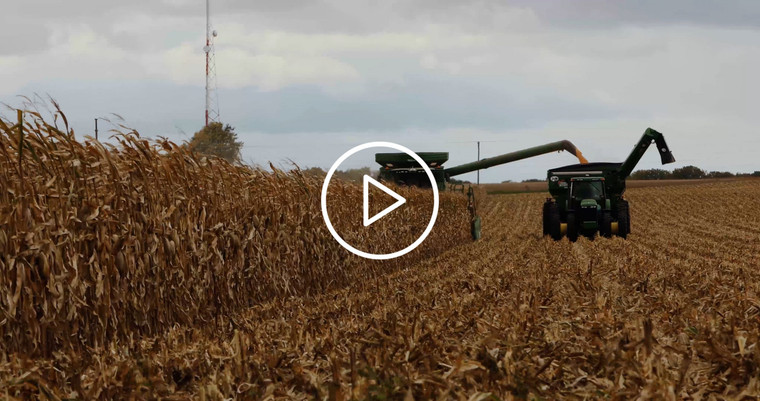 Combine Harvesting Corn and Unloading into Auger Wagon 3915