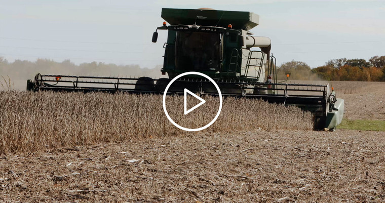 Combine Harvesting Soybeans in Daylight 3943