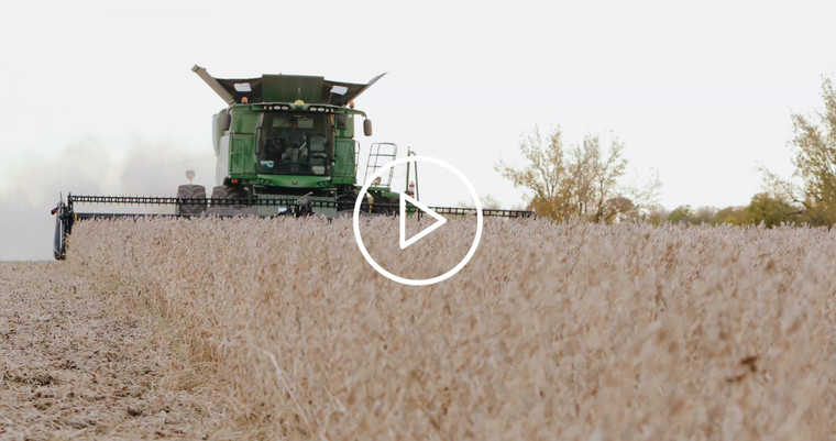 Close Up of Combine Cutting Soybeans 3962