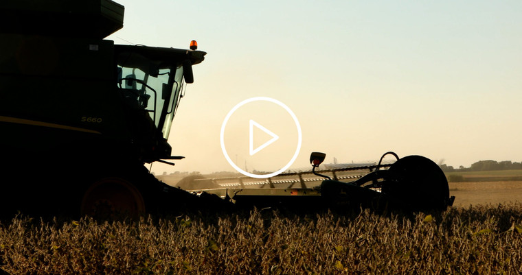 Combine Harvesting Soybeans 5379