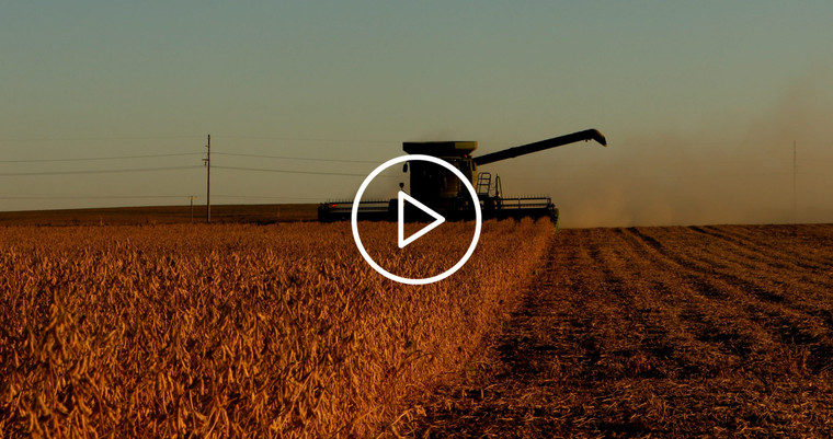 Combine Harvesting Soybeans 5394