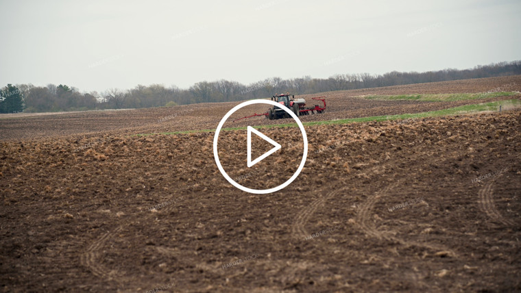 Planting into Tilled Cover Crops - 141