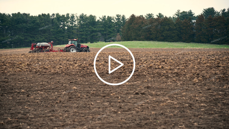 Planting into Tilled Cover Crops - 143
