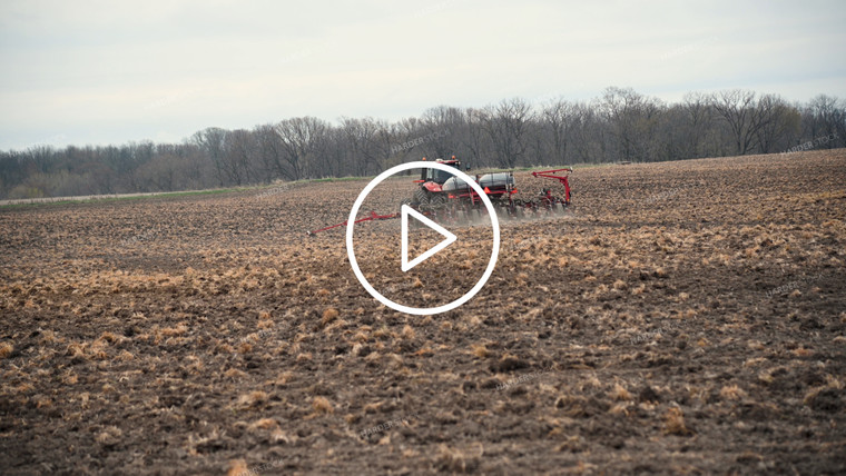 Planting into Tilled Cover Crops - 145