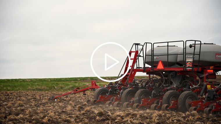 Planting into Tilled Cover Crops - 153