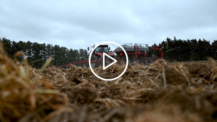 Planting into Tilled Cover Crops - 158