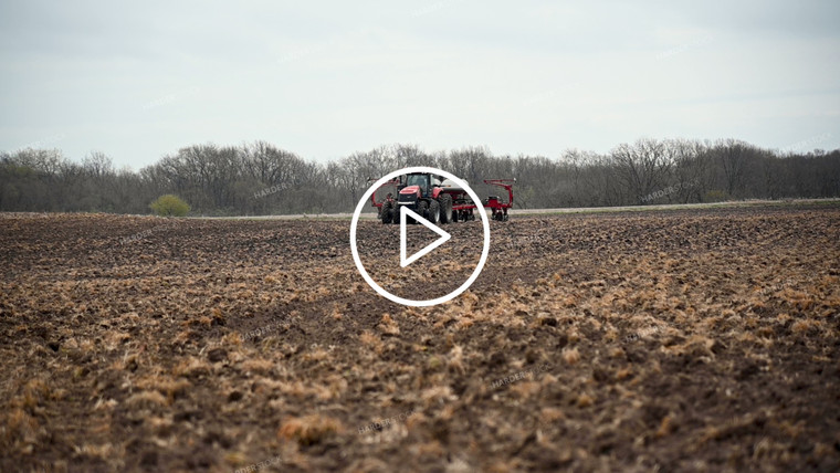 Planting into Tilled Cover Crops - 159