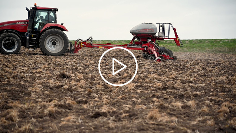 Planting into Tilled Cover Crops - 178