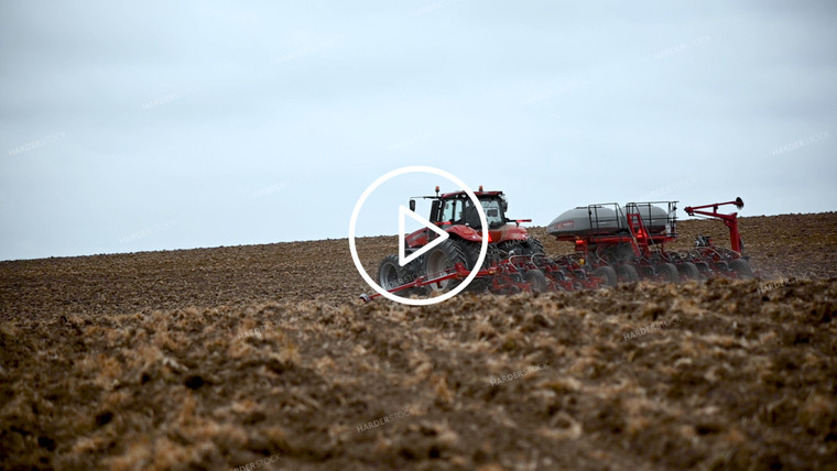 Planting into Tilled Cover Crops - 179