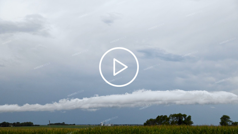 Timelapse Weather Over Growing Crops - 271