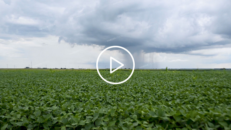 Timelapse Weather Over Growing Crops - 275