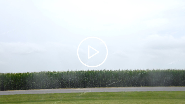 Timelapse Weather Over Growing Crops - 277