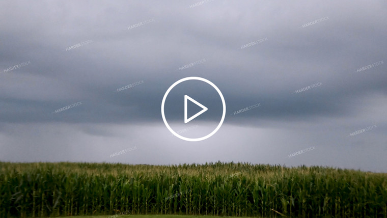 Timelapse Weather Over Growing Crops - 278