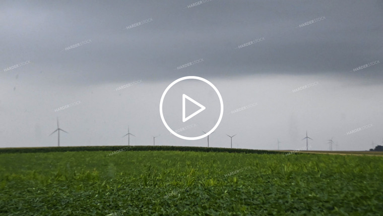 Timelapse Weather Over Growing Crops - 279