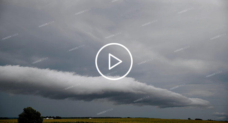 Scenic Weather Over Growing Crops - 289