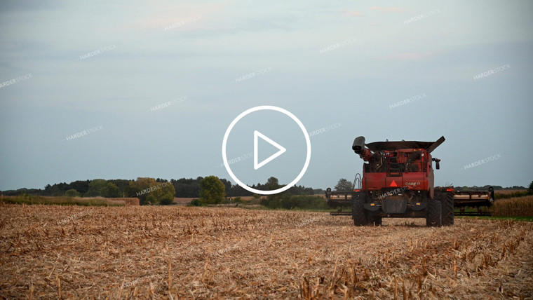 Harvesting Corn on Hilly Ground - 421