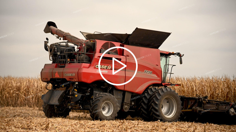 Harvesting Corn on Flat Ground - 448