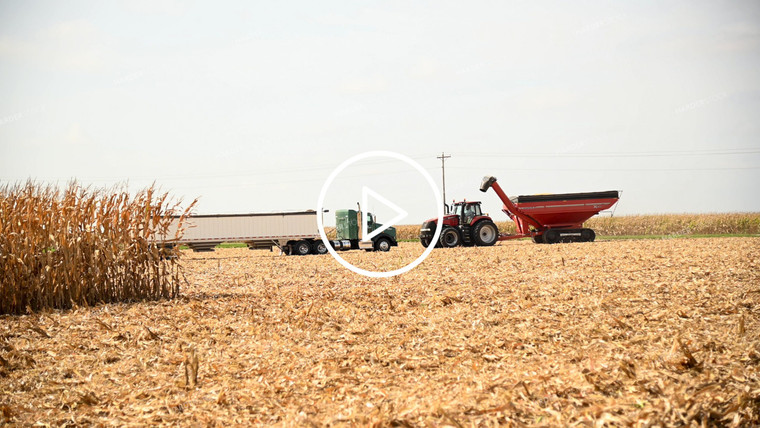 Grain Cart Unloading into Semi - 455