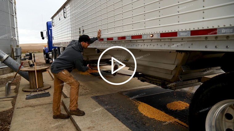 Farmer Unloading Corn from Hopper Bottom Semi to Grain Pit - 462