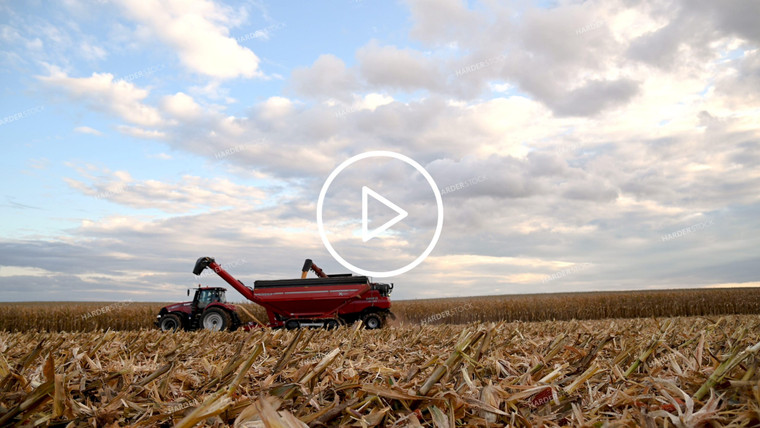 Combine Unloading Corn on the go into an Auger Wagon - 487