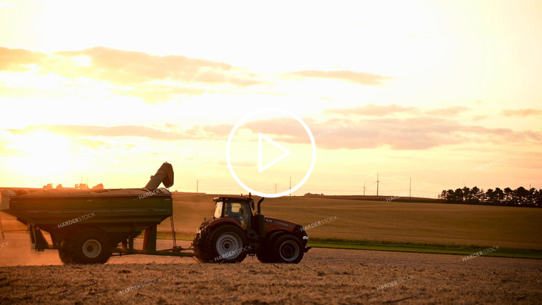 Grain Cart Driving Through Soybean Field - 512