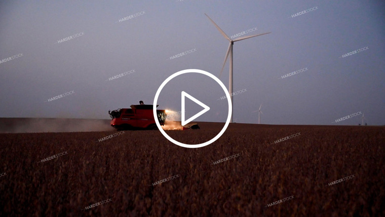 Two Combines Harvesting Soybeans at Sunset - 538