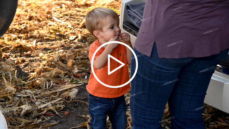 Family Enjoying Harvest Meal in the Field - 548