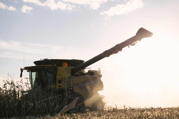 Nebraska Corn Harvest 70028